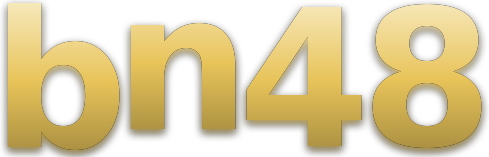 bn48 logo